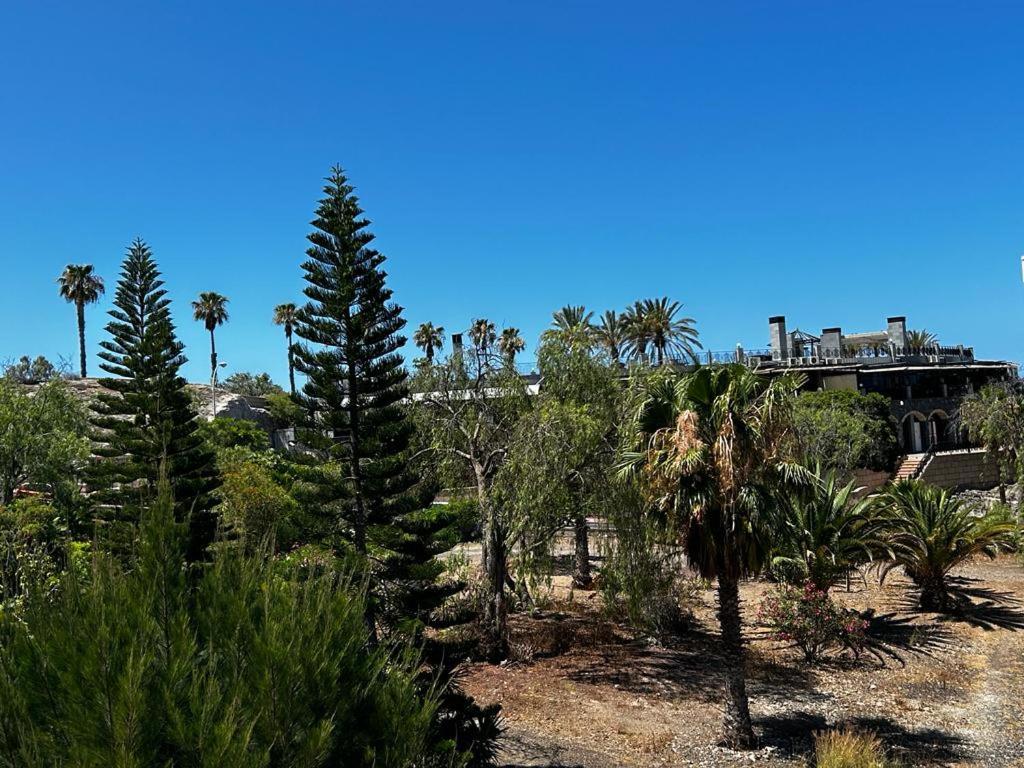 Villa Natali ,Luxury 3-Levels Large Villa On Tenerife, Ocean View, Private Poo L& Barbecue Area Адехе Екстериор снимка
